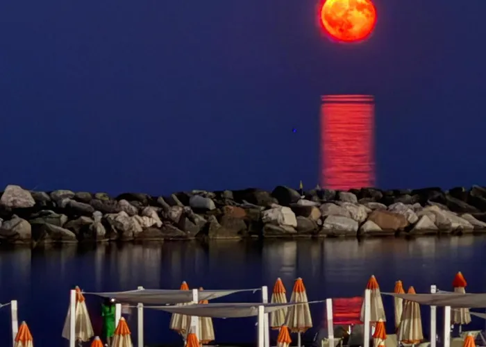 Fronte Mare Διαμέρισμα