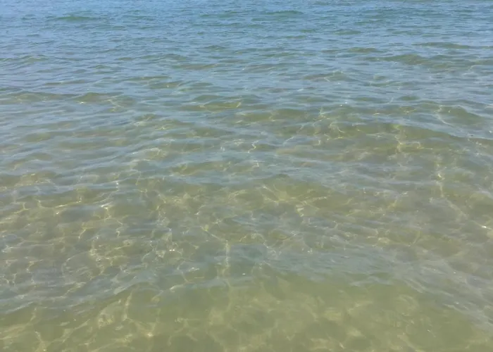 Fronte Mare Rimini